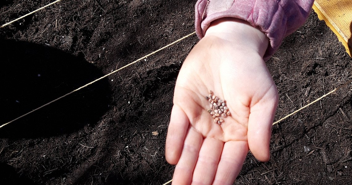 Kinderhand mit Saatgut und Saatschnur