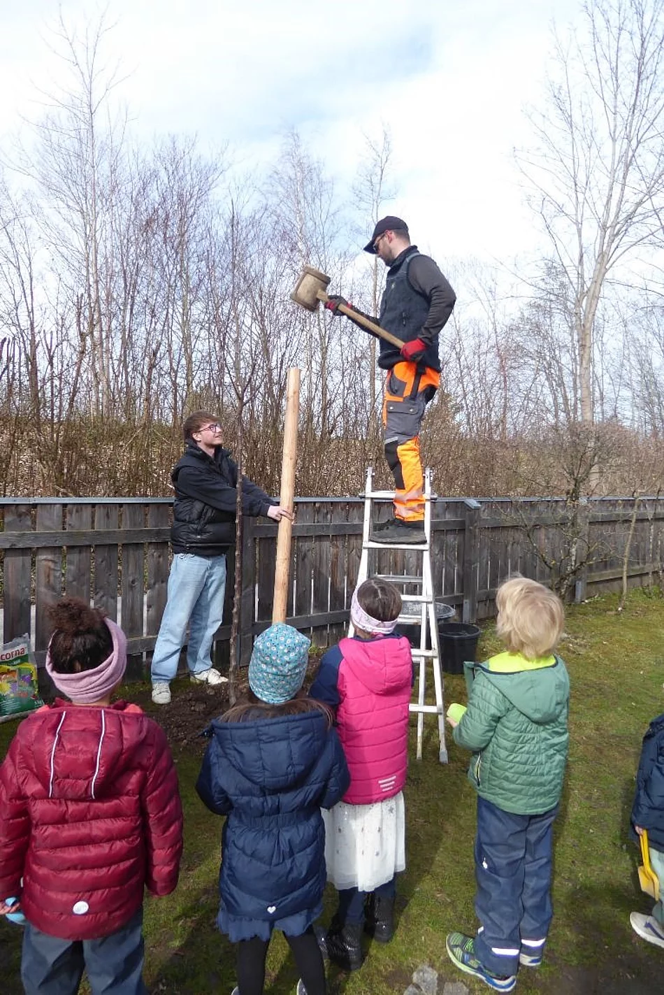 Apfelbaum für Beate
