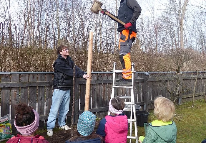 Apfelbaum für Beate