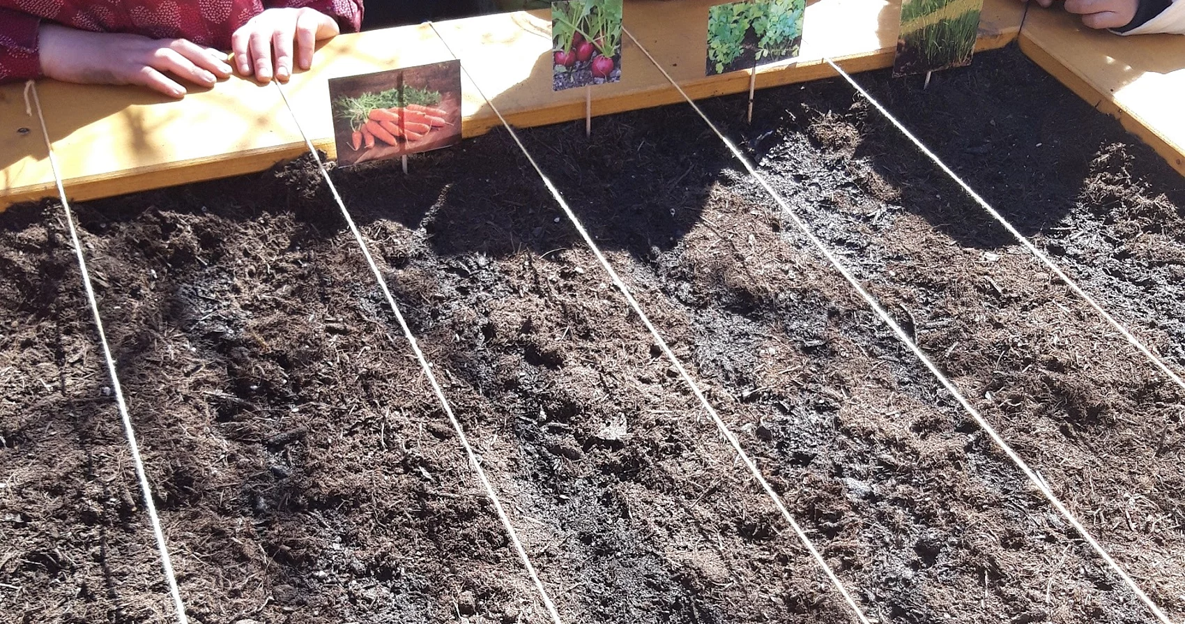 Anpflanzen mit Saatschnur und Pflanzetiketten