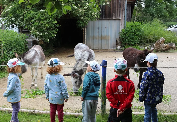 Eselfüttern beim Ausflug zur Rothmühle