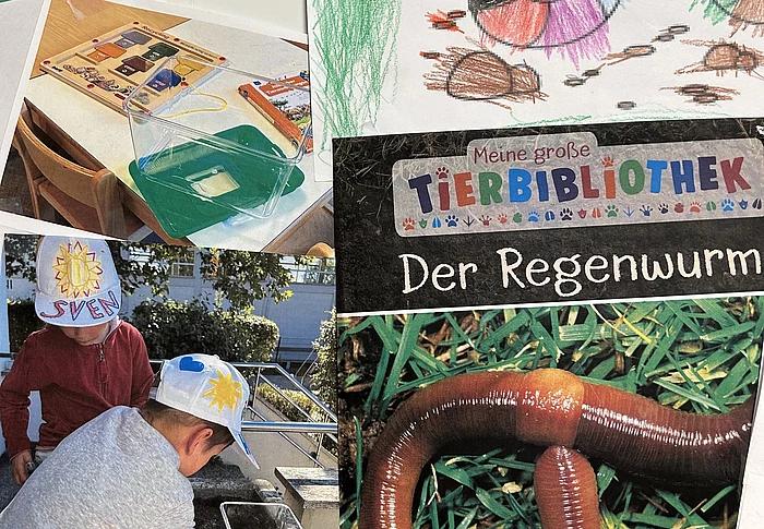 Projekte Regenwurm und Pizzeria