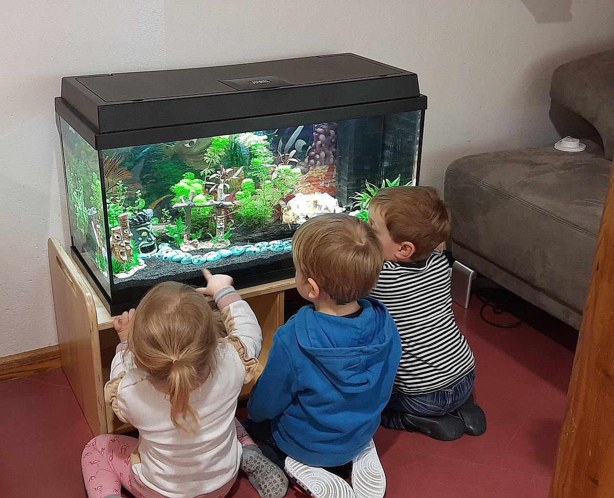Kinder vor dem neuen Aquarium